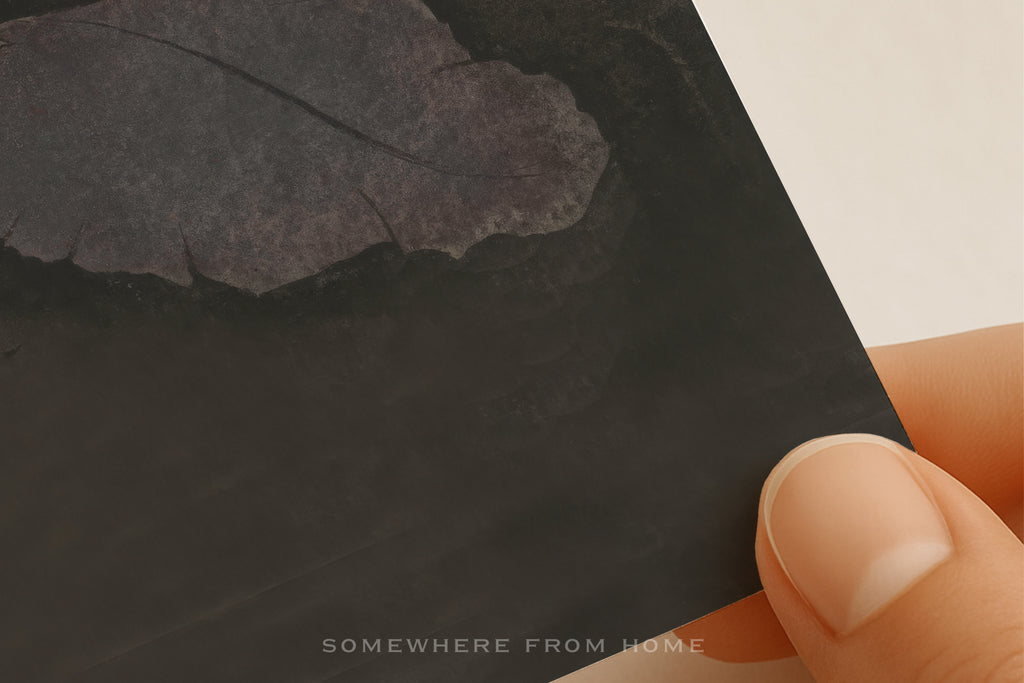 Velvet Orchid – A Moody Botanical Study