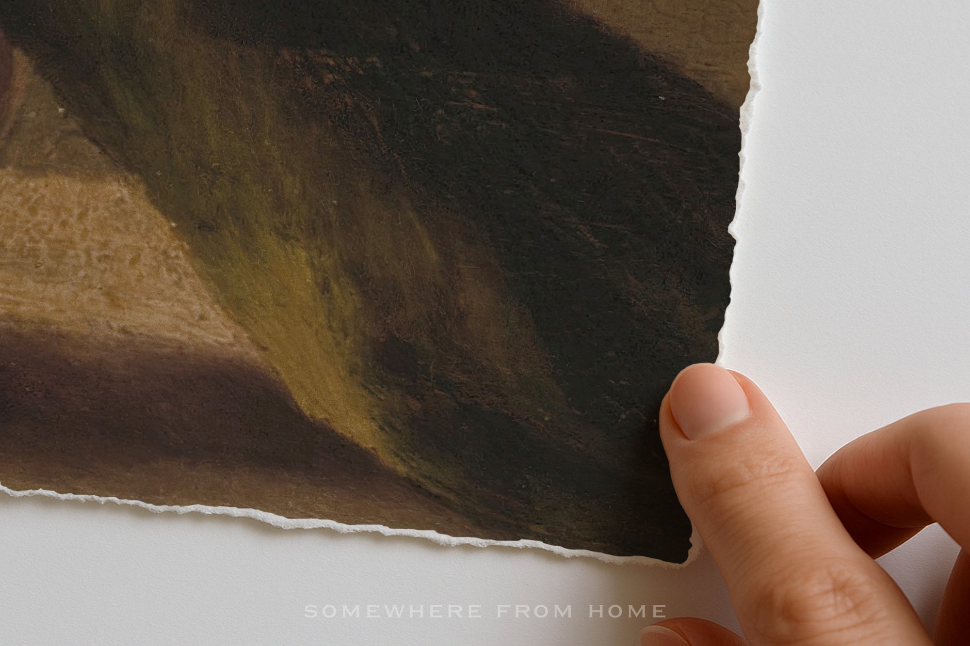 Magnolia Study - Vintage Floral Still-Life