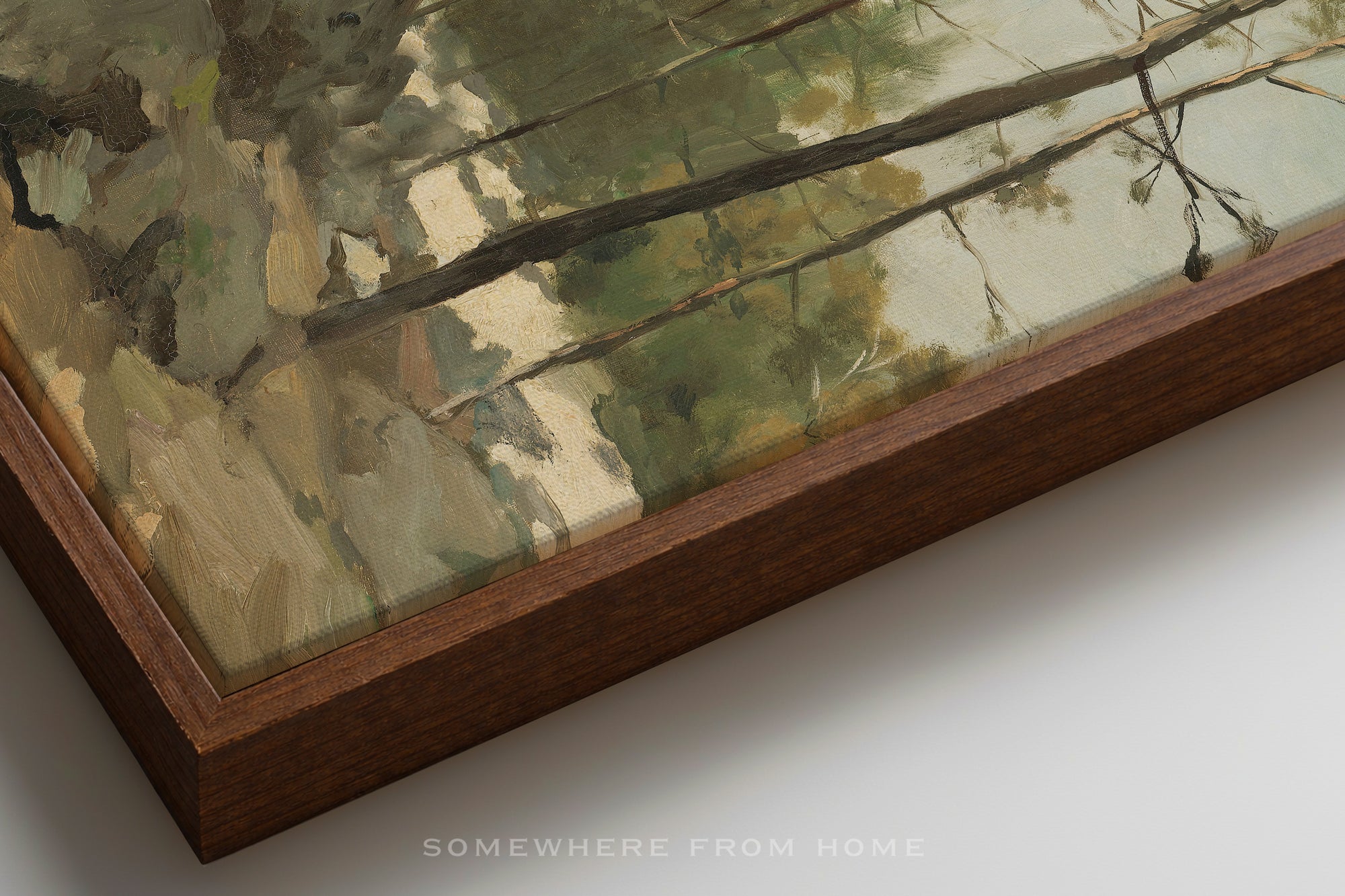 Quiet Pines - Vintage Forest Landscape