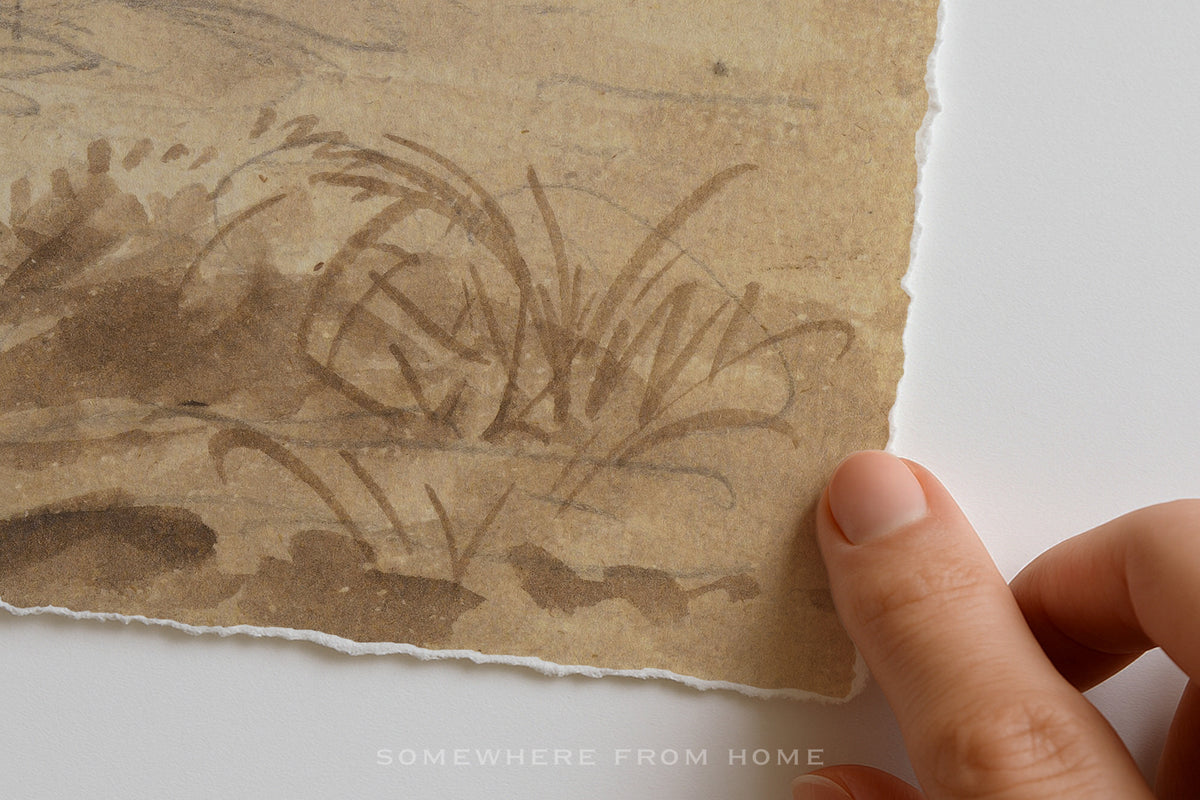 A close-up of a hand holding the edge of a torn sheet of textured paper with a brown ink sketch of grasses, set against a plain white background.