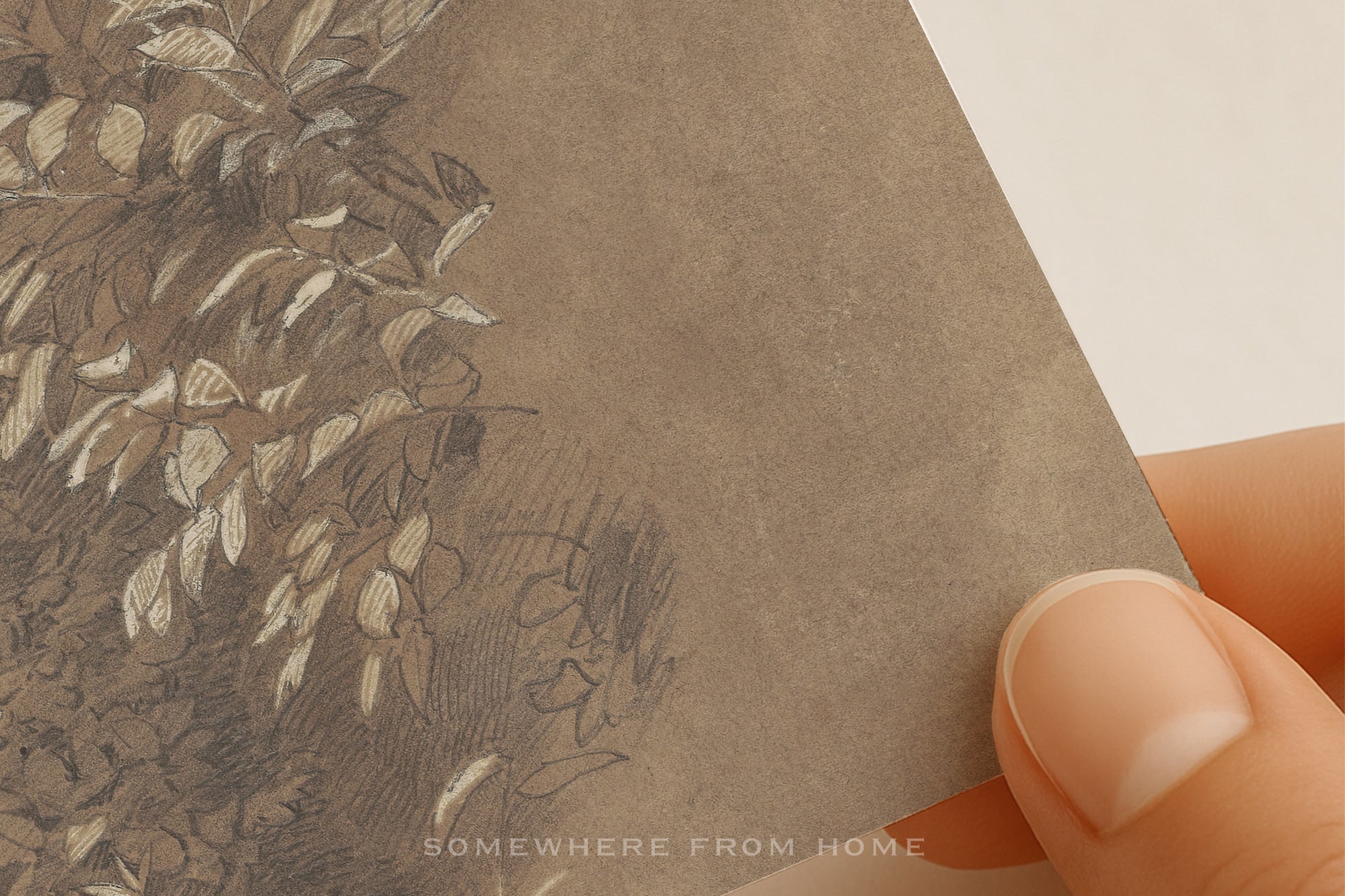 Fallen Bough – Antique Tree Study