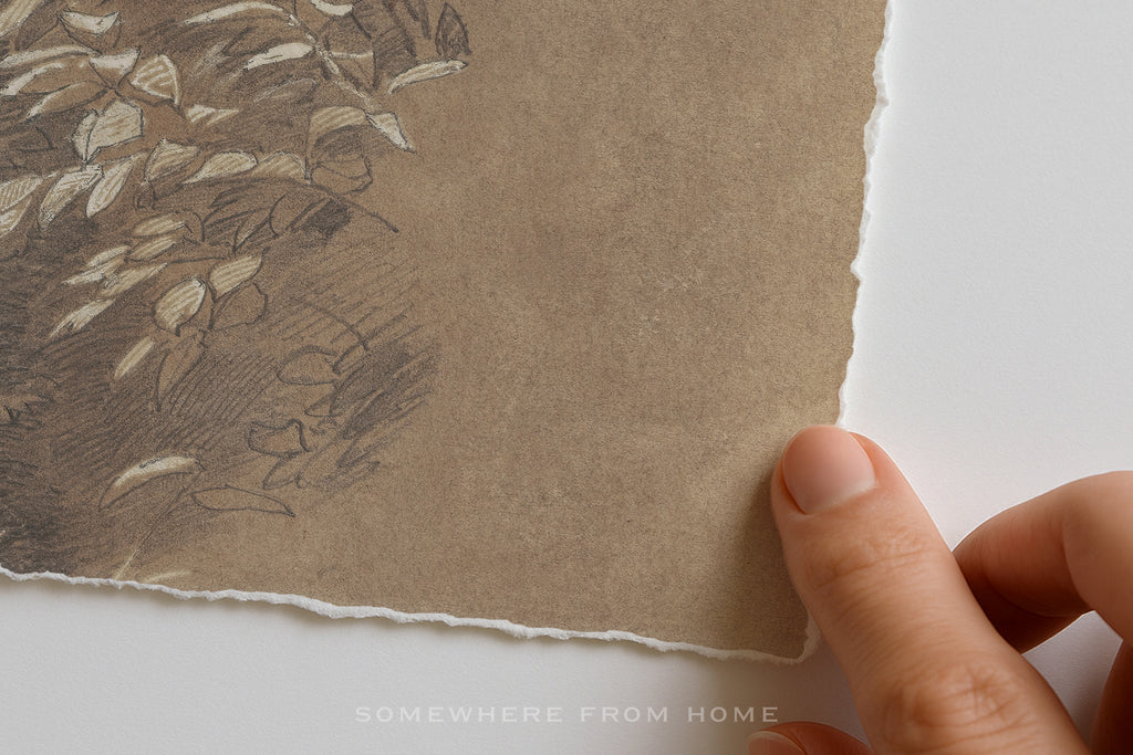 Fallen Bough – Antique Tree Study