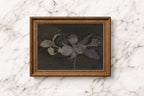 Velvet Orchid – A Moody Botanical Study