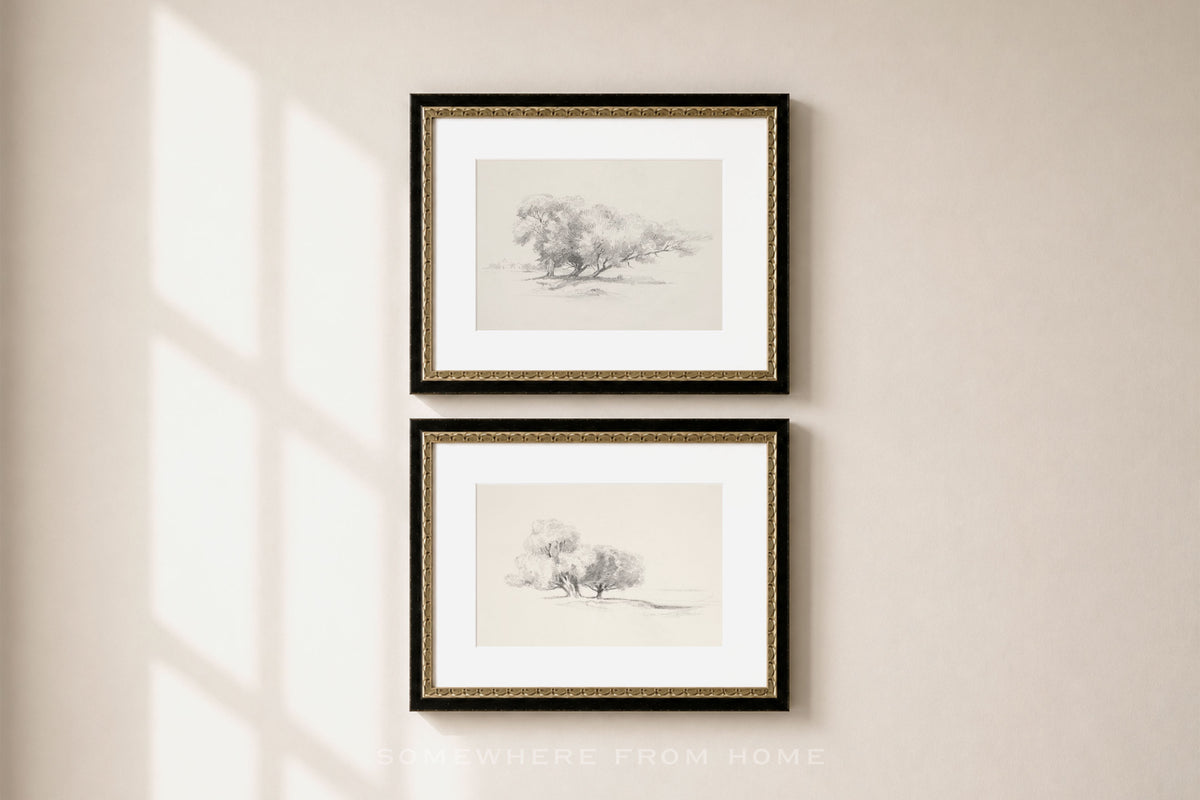 Two framed botanical art prints with black frames and gold inner trim, hanging vertically on a beige wall with soft window shadow light.