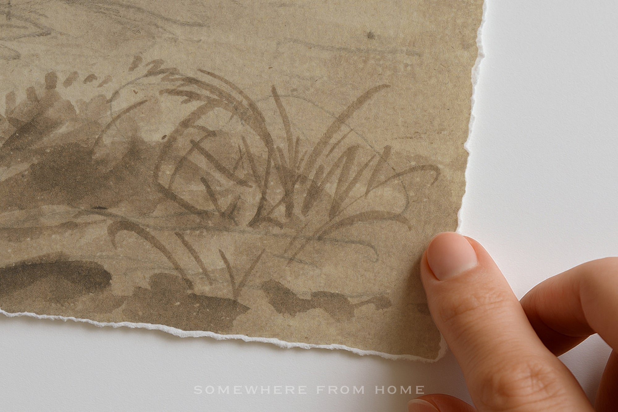 A close-up of a hand holding the edge of a square sheet of textured, off-white handmade paper with a brown ink sketch of grasses, set against a plain white background.
