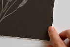 Nocturne Botanicals 2