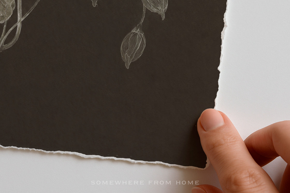 Nocturne Botanicals 3