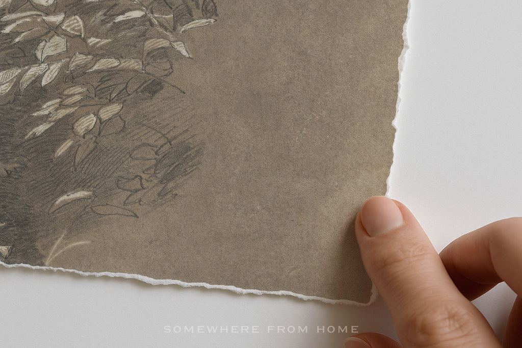 A close-up of a hand holding the edge of a square piece of textured handmade paper with a torn margin, showing a sketch of leaves in gray and beige tones on the left side, against a plain white background.