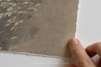 A close-up of a hand holding the edge of a square piece of textured handmade paper with a torn margin, showing a sketch of leaves in gray and beige tones on the left side, against a plain white background.