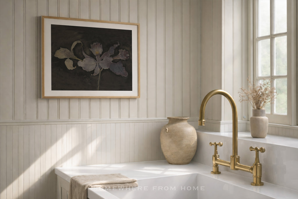 Velvet Orchid – A Moody Botanical Study
