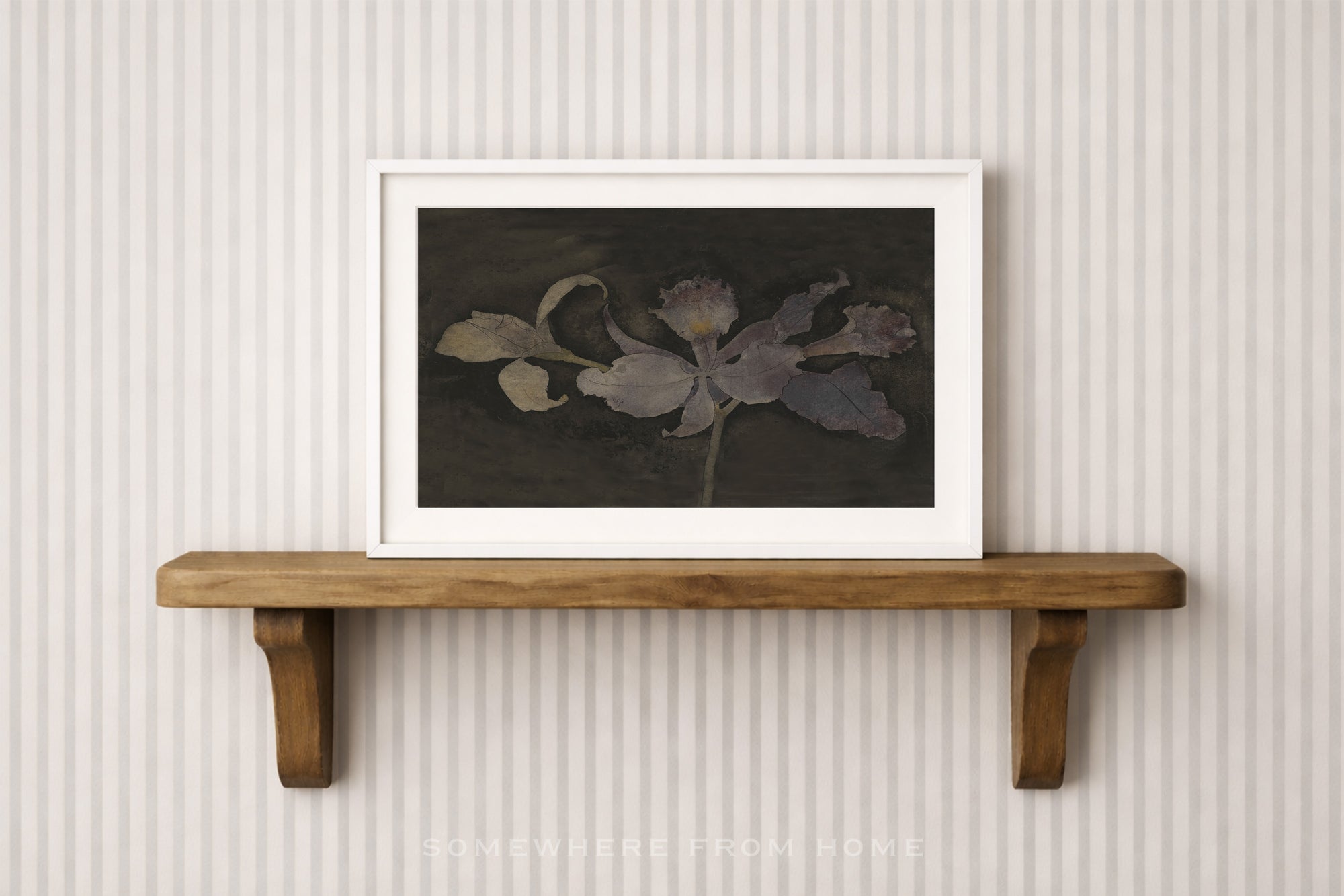 Velvet Orchid – A Moody Botanical Study