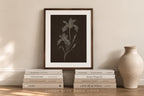 Nocturne Botanicals Set of 3