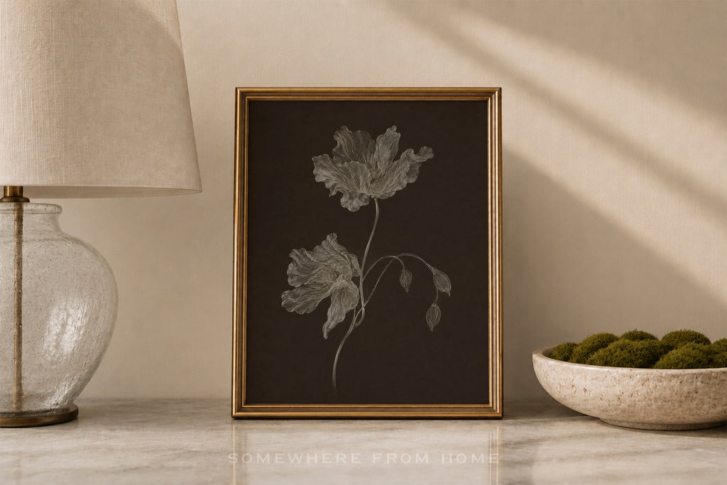 Nocturne Botanicals 3