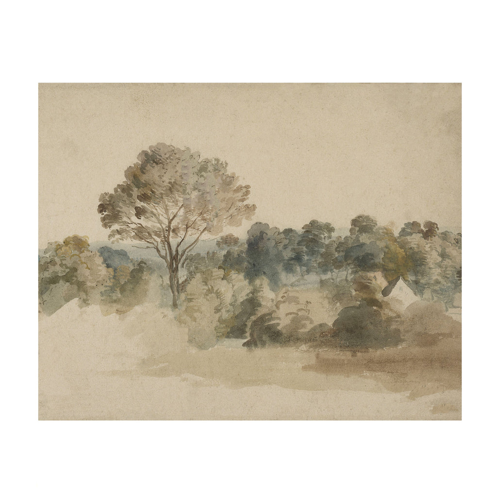 Desert Grove