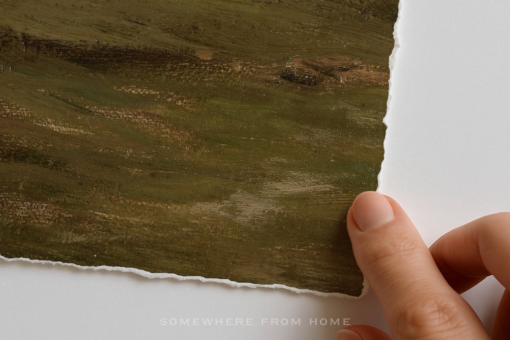 Quiet Shoreline - Soft Coastal Landscape