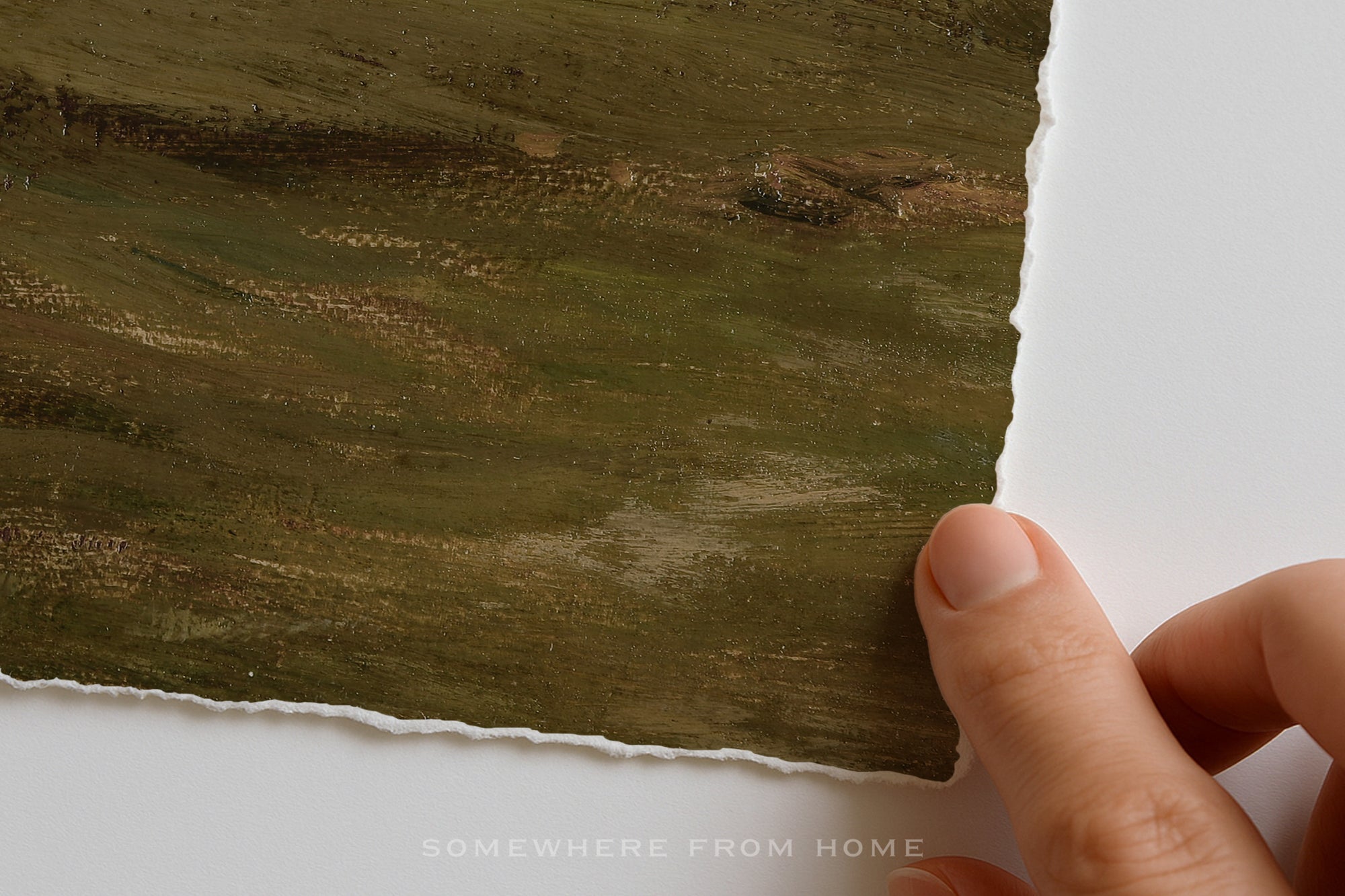 Quiet Shoreline - Soft Coastal Landscape