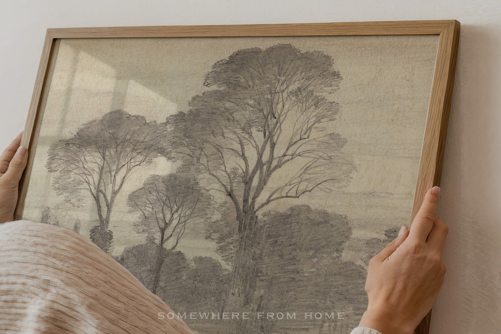 Tree Study 2 - Vintage Forest Drawing