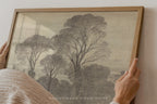 Tree Study 2 - Vintage Forest Drawing