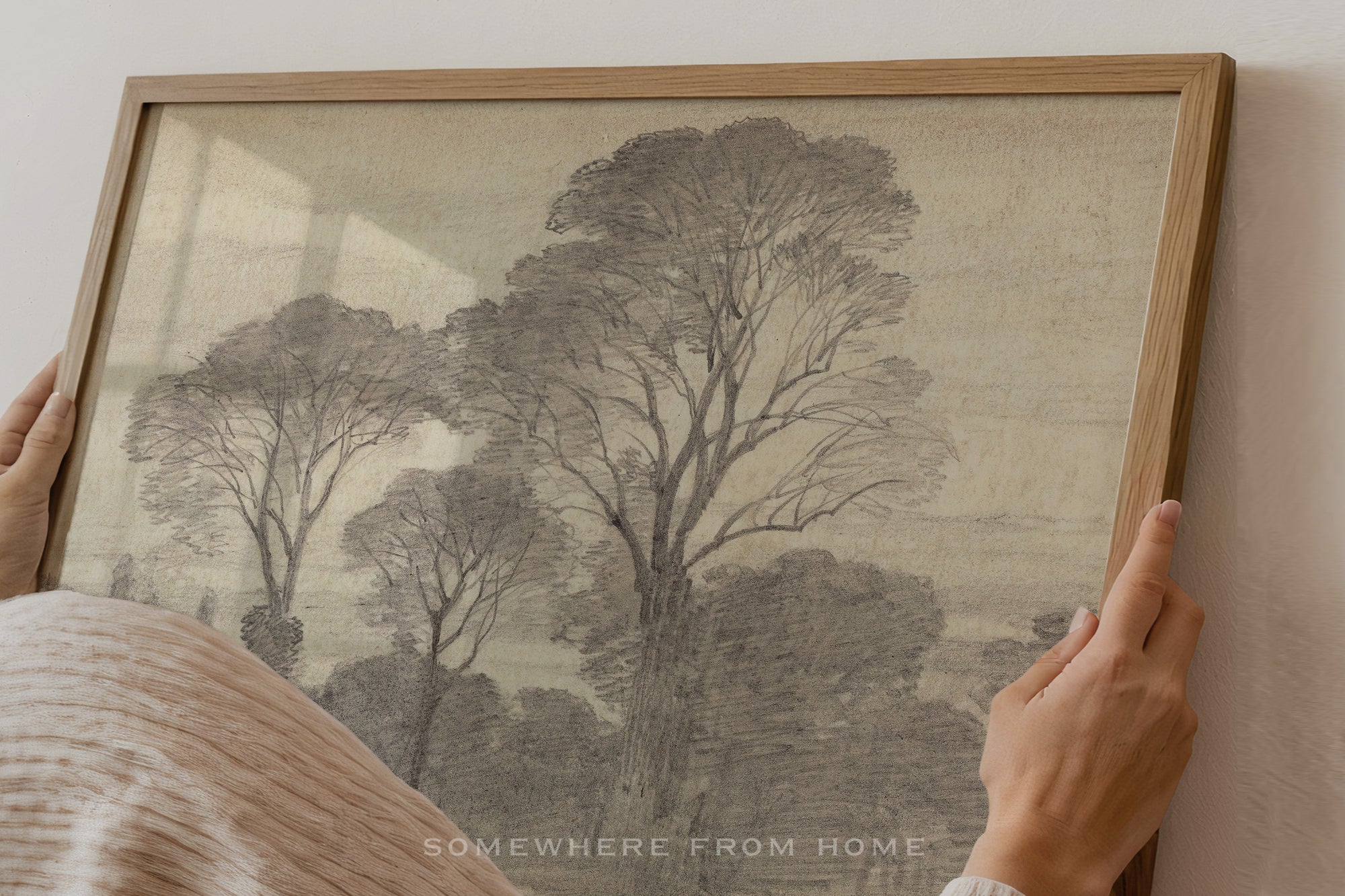 Tree Study 2 - Vintage Forest Drawing
