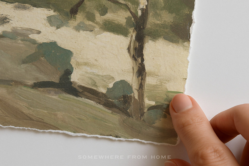 Quiet Pines - Vintage Forest Landscape