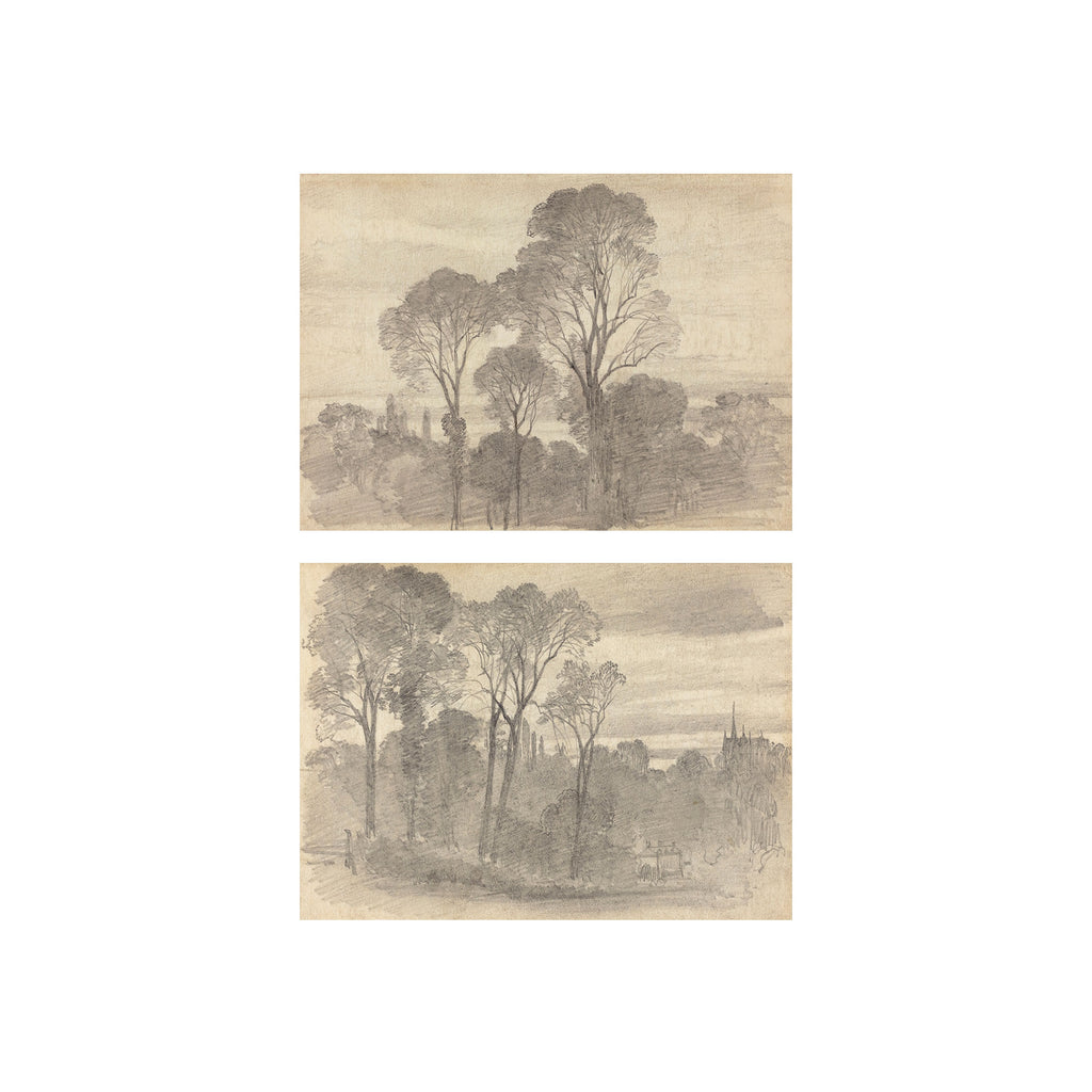 Tree Study Set of 2