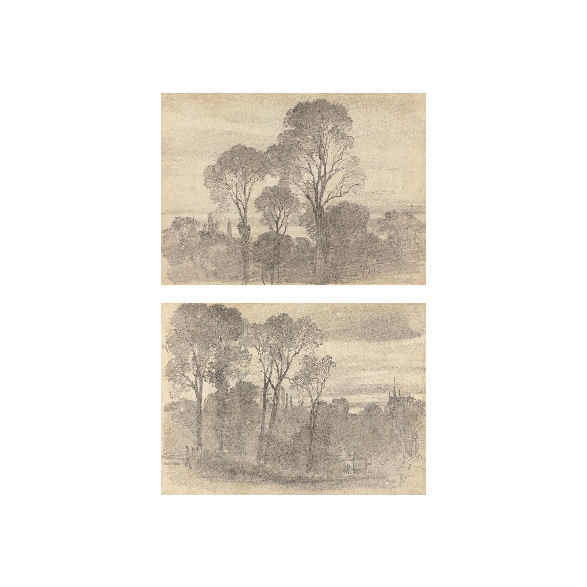Tree Study Set of 2