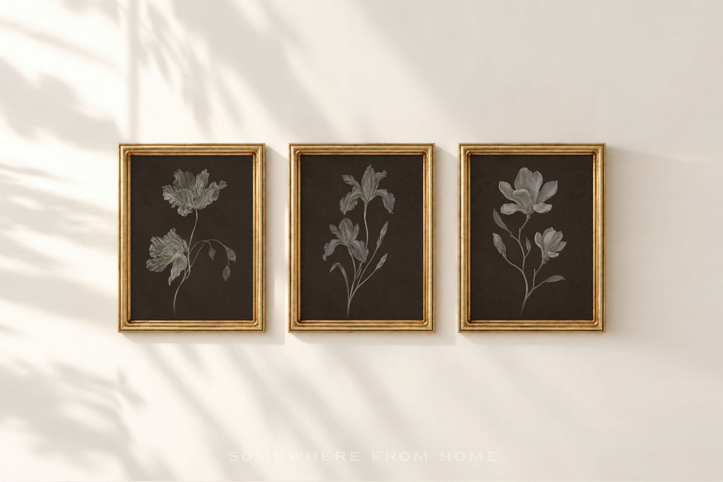 Nocturne Botanicals Set of 3