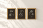 Nocturne Botanicals Set of 3