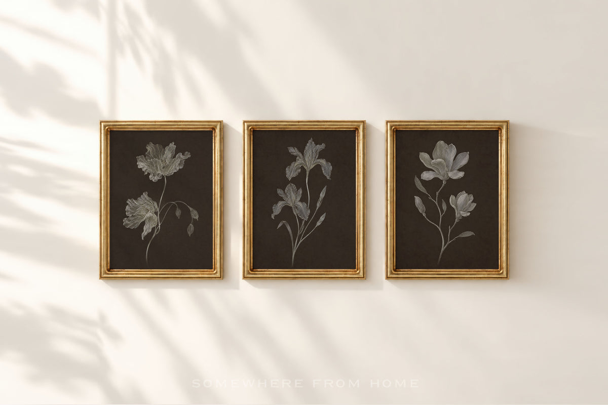 Nocturne Botanicals Set of 3