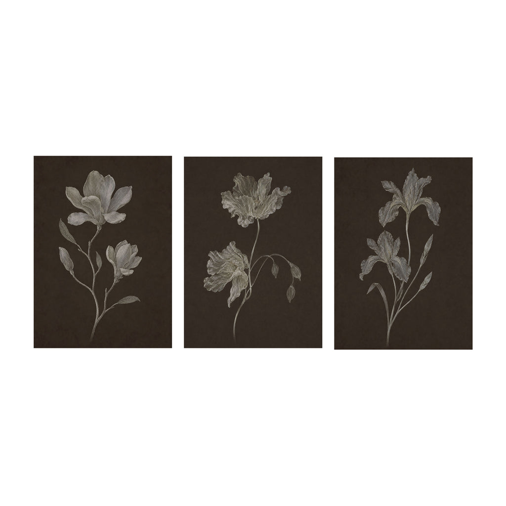 Nocturne Botanicals Set of 3