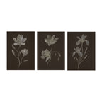 Nocturne Botanicals Set of 3