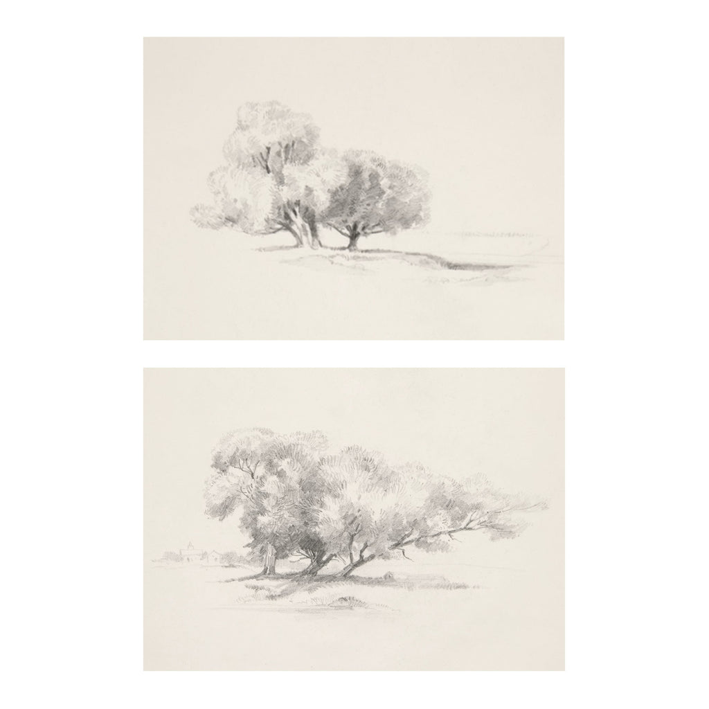 Two framed or mounted pencil-style tree sketches on a warm off-white background, shown vertically stacked with a white margin around them.