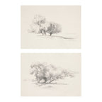 Two framed or mounted pencil-style tree sketches on a warm off-white background, shown vertically stacked with a white margin around them.