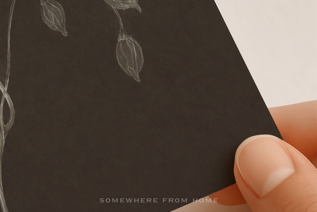 Nocturne Botanicals 3