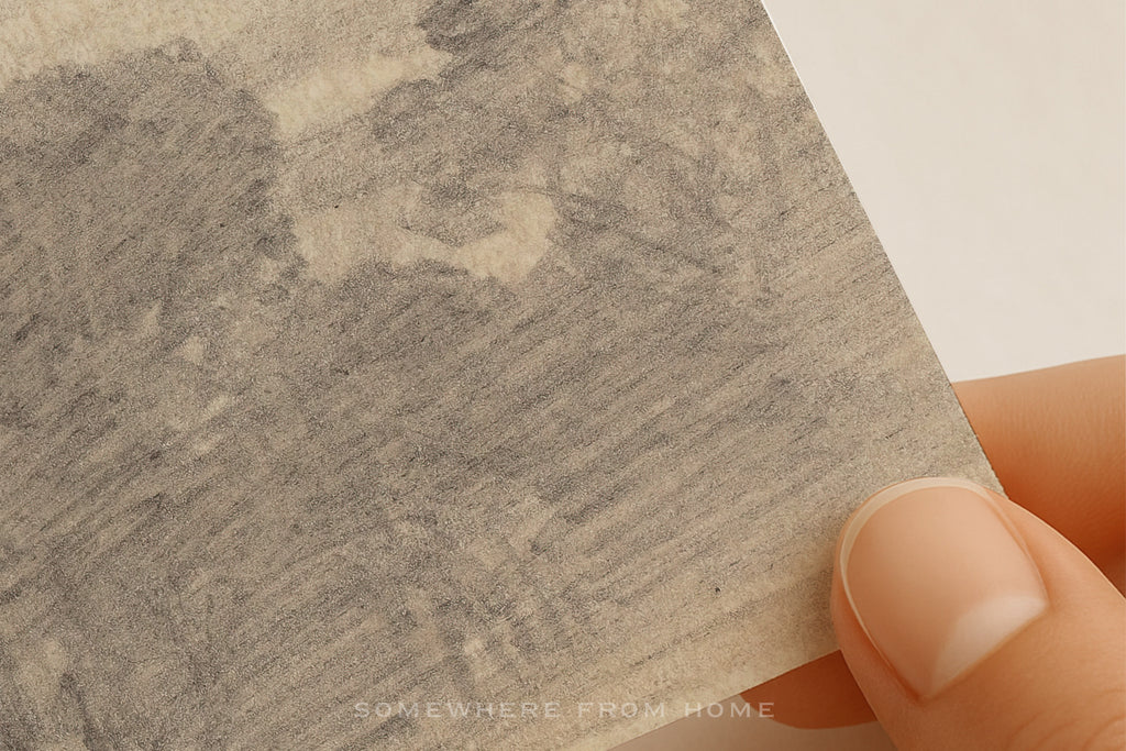 Tree Study 2 - Vintage Forest Drawing