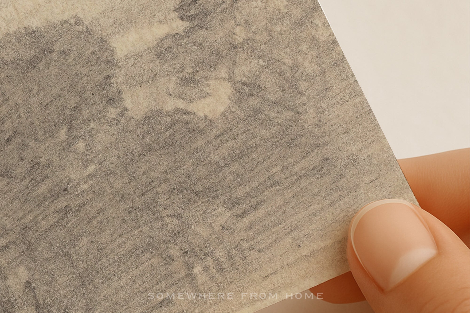 Tree Study 2 - Vintage Forest Drawing