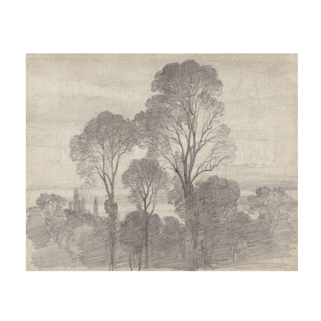 A monochrome landscape sketch featuring tall trees and shrubs rendered in gray and charcoal tones on a warm beige paper background, shown centered against a white margin.