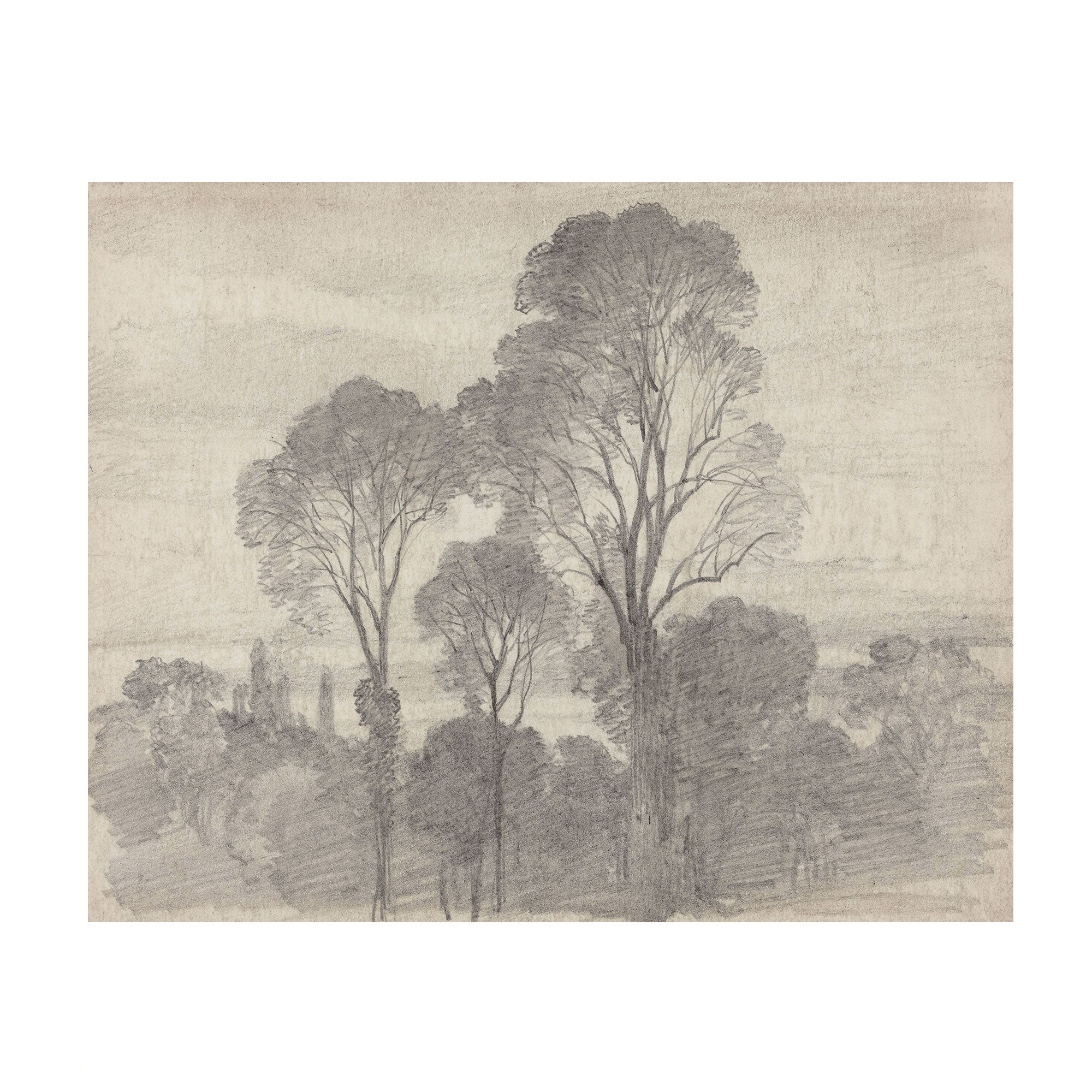 A monochrome landscape sketch featuring tall trees and shrubs rendered in gray and charcoal tones on a warm beige paper background, shown centered against a white margin.